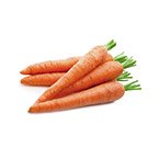 Carrot